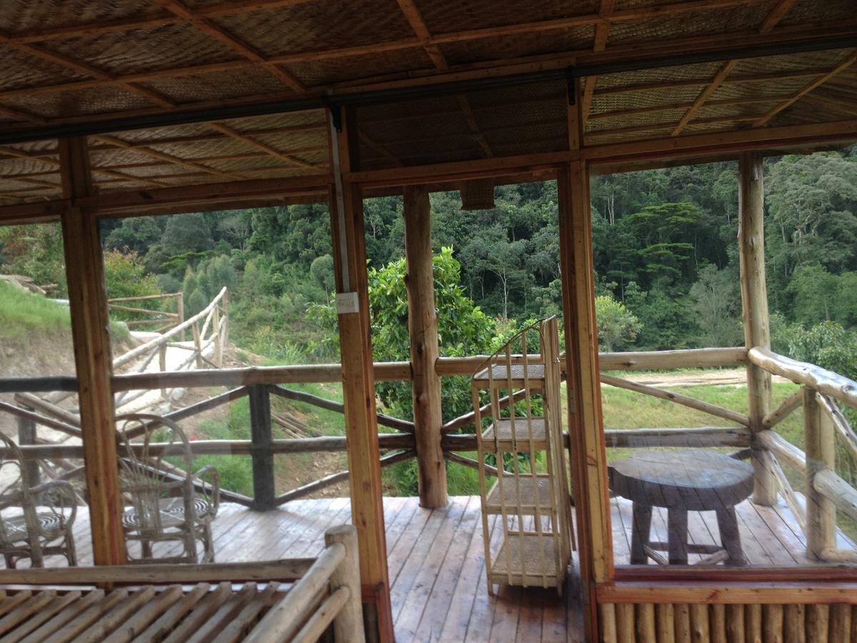 Rushaga Gorilla Lodge Bugambira 部屋 写真