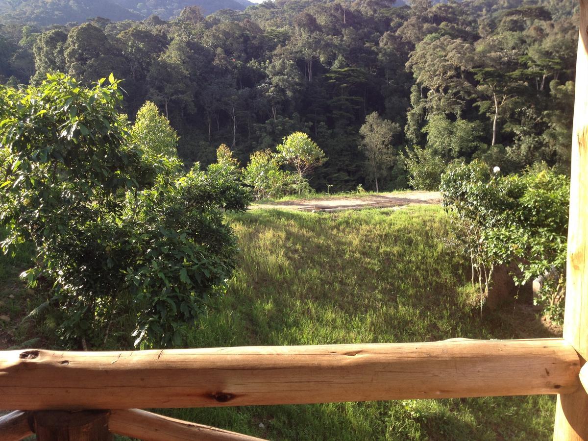 Rushaga Gorilla Lodge Bugambira 部屋 写真