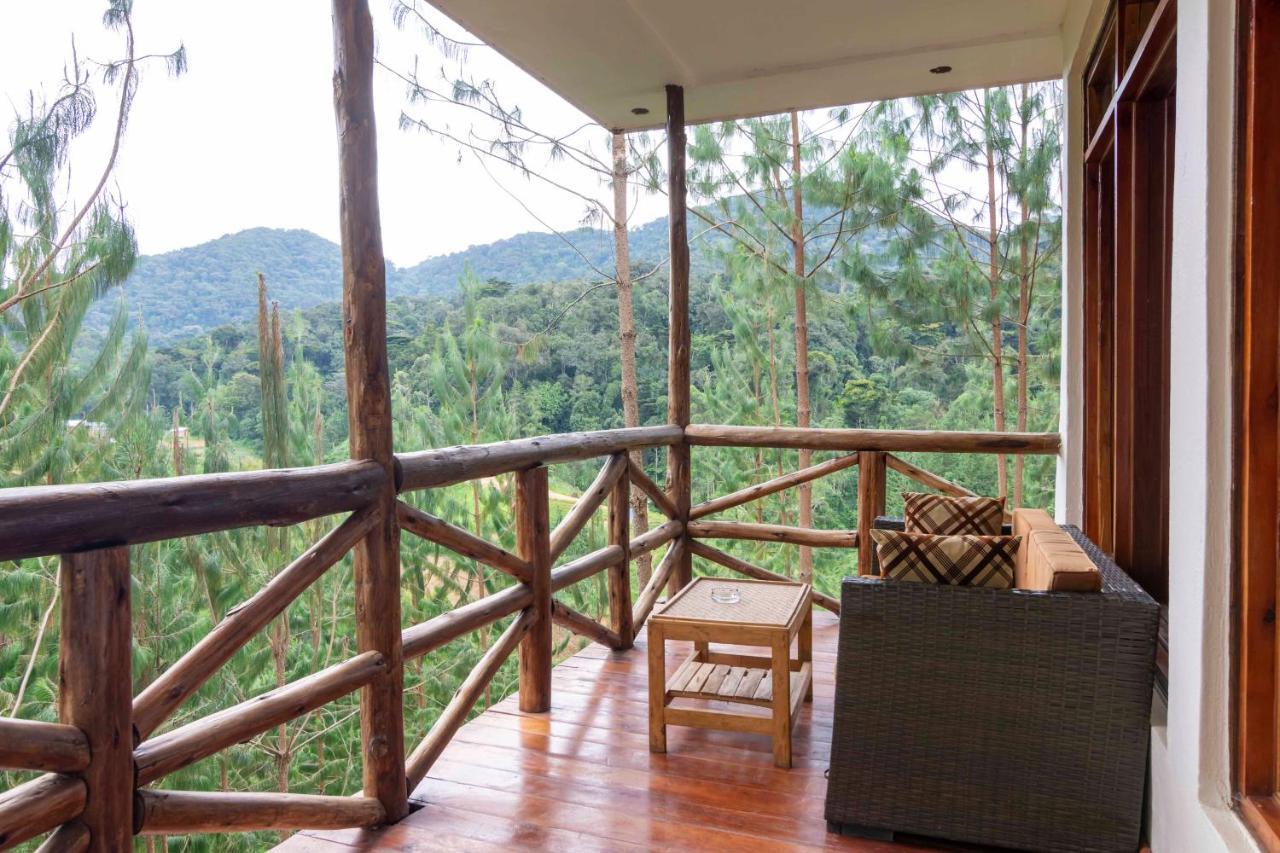 Rushaga Gorilla Lodge Bugambira エクステリア 写真